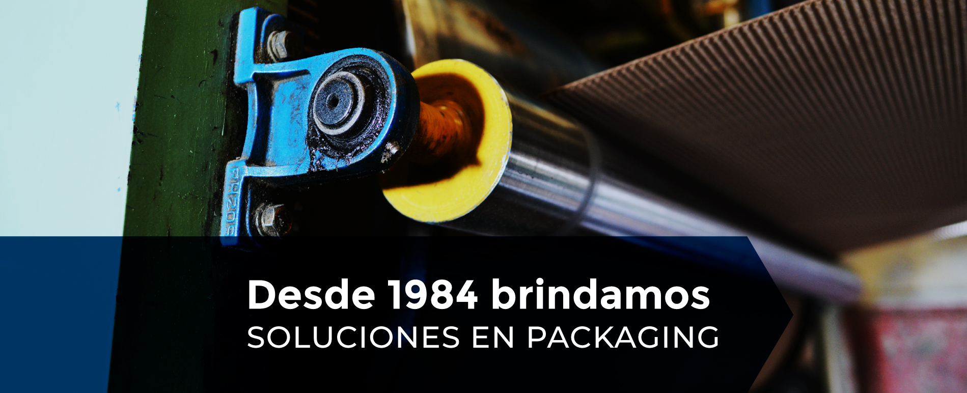 Maxipack-SlidesWeb-Abril-3