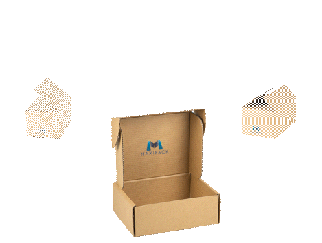 Landing Ads - Maxipack